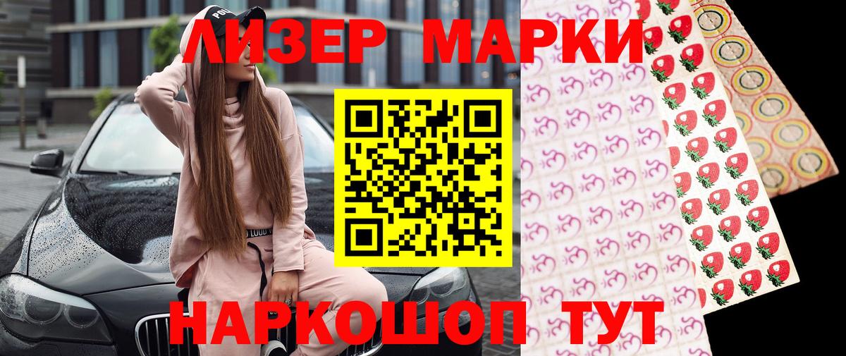  COCAIN Гатчина