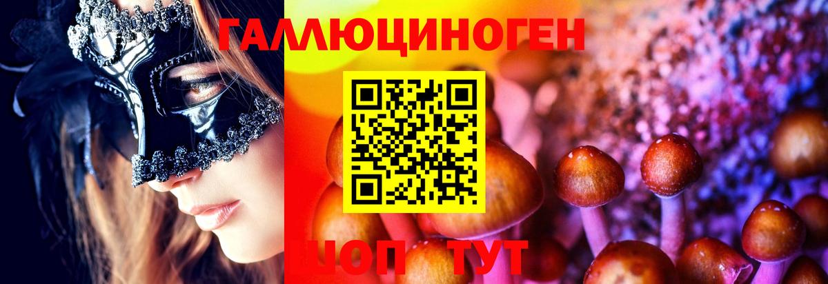 Галлюциногенные грибы Magic Shrooms Гатчина